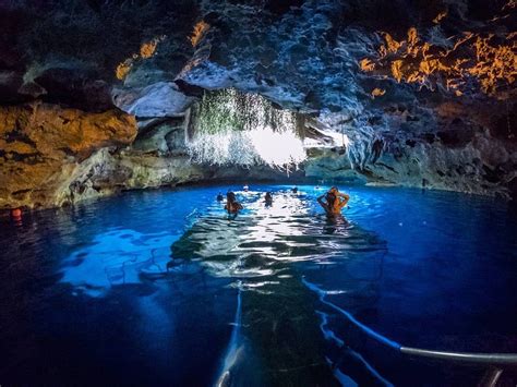 Devil's den prehistoric spring - Jun 7, 2021 · Specialties: Devil's Den is one of Florida's premier pre-historic springs. Located in Williston, Florida, this karst cavern is home to one of the most unique diving spots in the United States. With crystal clear water, year round water temperatures of 72 degrees, ancient rock formations with stalactites, fossil beds and much more you're guaranteed to leave with an experience you'll never ... 